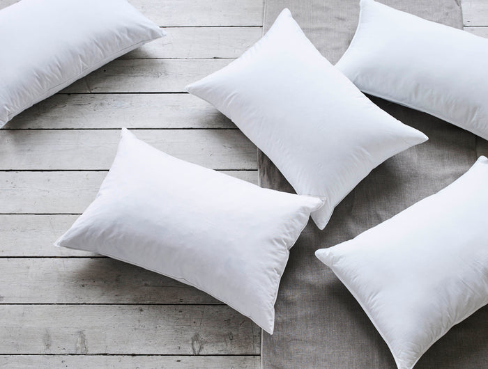 <h2>Pillow Expertise</h2>