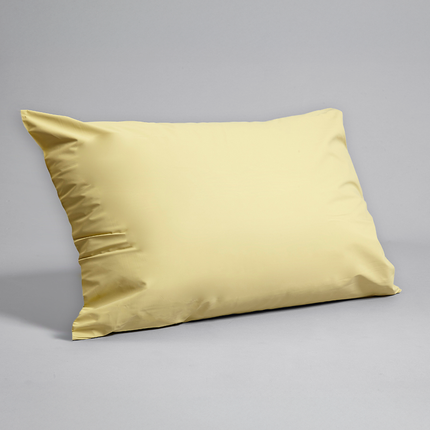 Gard Waterproof Flame Retardant Pillow