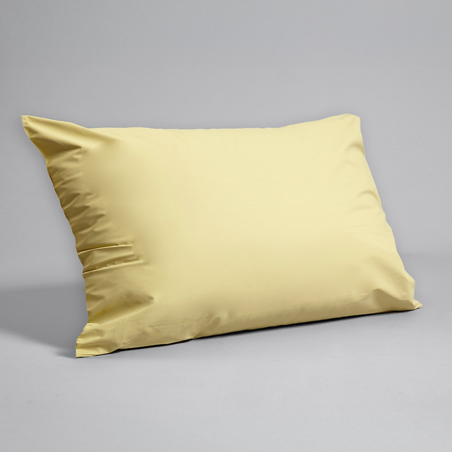 Gard Waterproof Flame Retardant Pillow
