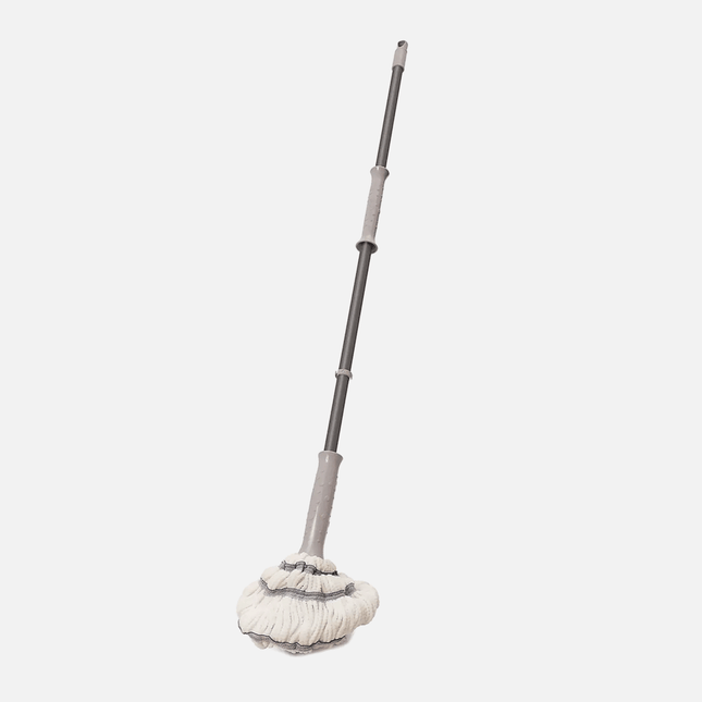 Mop and Handle